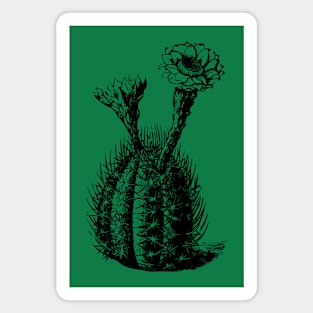 Cactus Magnet